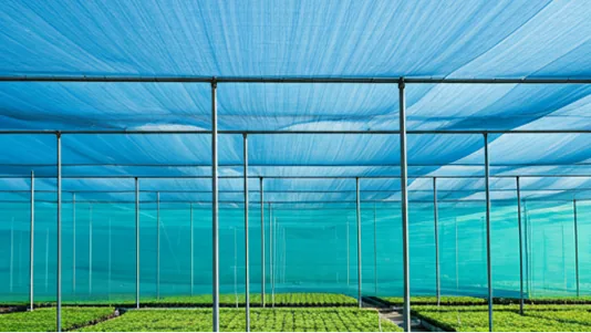 sustainable farming